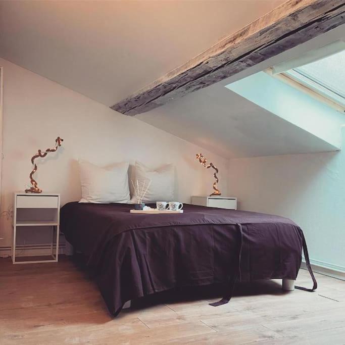 Nancy Appartement En Triplex Plein Centre Eksteriør bilde